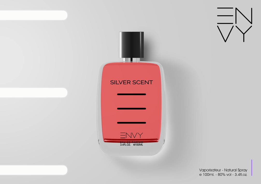 عطر مردانه ان وی سیلور سنت | Envy Silver Scent